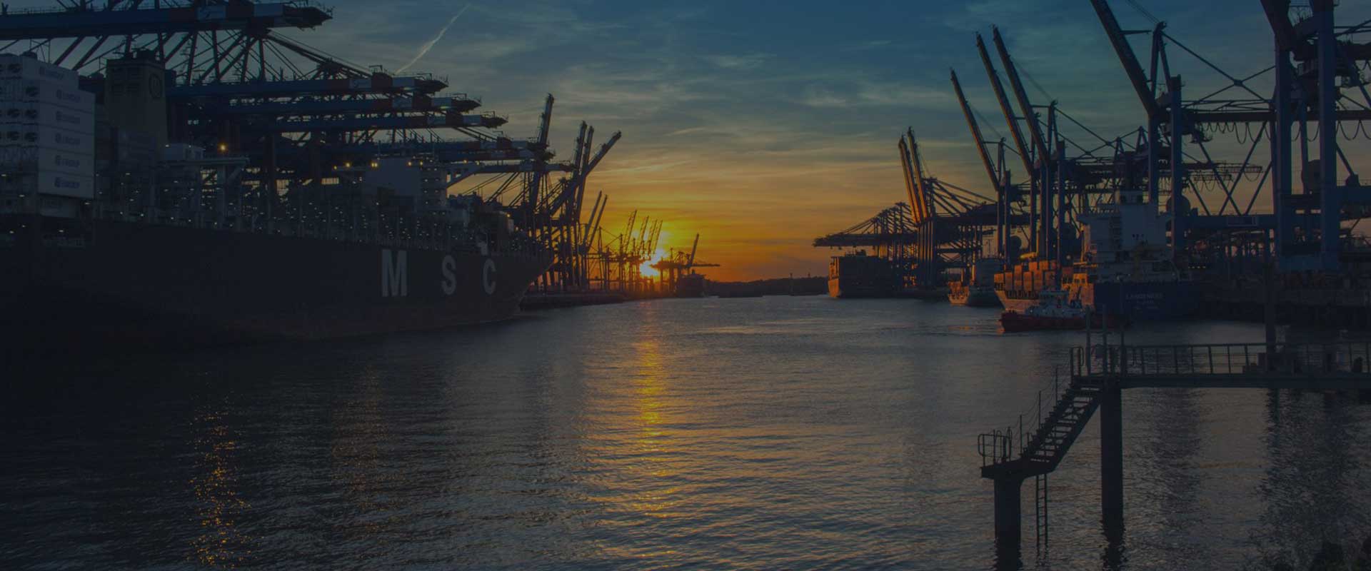 Sea Export Pedraza Customhouse Brokers logo