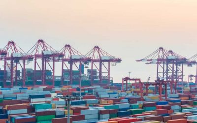 Understanding FTZ Warehousing and Its Importance for Companies