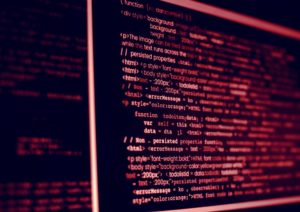 Pedraza Customhouse software